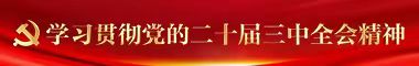 學習貫徹黨的二十屆三中全會精神